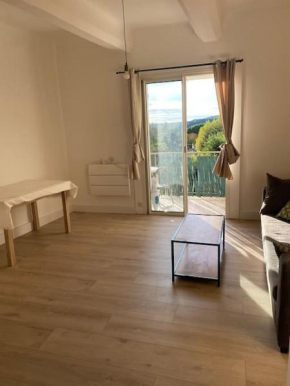 Appartement lumineux et calme